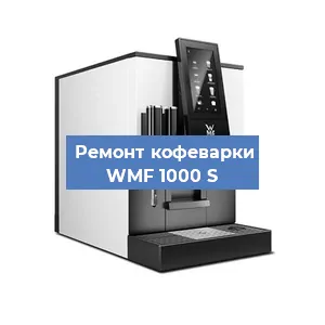 Чистка кофемашины WMF 1000 S от накипи в Краснодаре